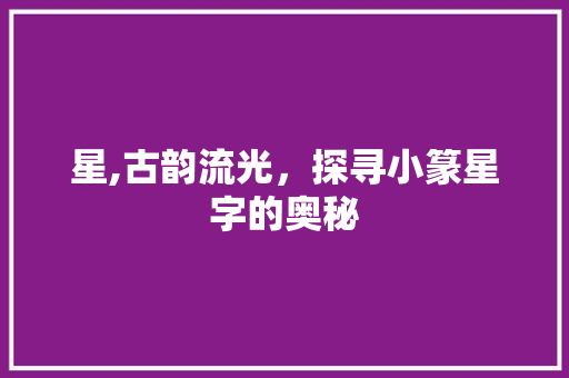 星,古韵流光，探寻小篆星字的奥秘 范文赏析