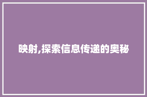 映射,探索信息传递的奥秘