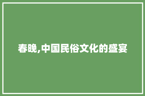 春晚,中国民俗文化的盛宴
