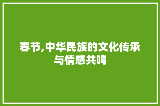 春节,中华民族的文化传承与情感共鸣