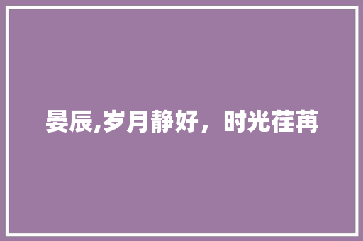 晏辰,岁月静好，时光荏苒