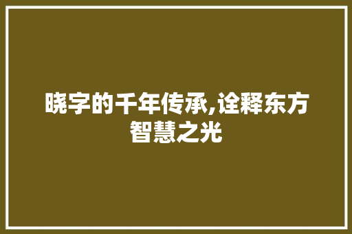 晓字的千年传承,诠释东方智慧之光