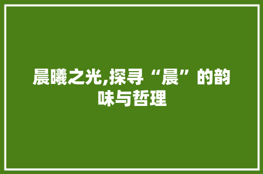 晨曦之光,探寻“晨”的韵味与哲理