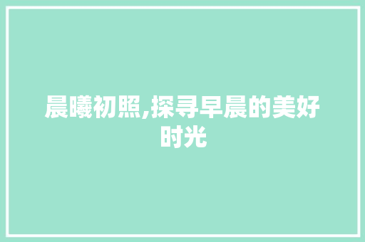 晨曦初照,探寻早晨的美好时光