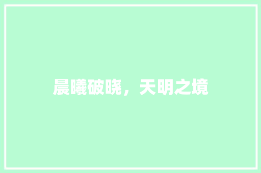 晨曦破晓，天明之境
