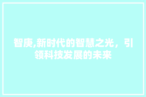 智庚,新时代的智慧之光，引领科技发展的未来