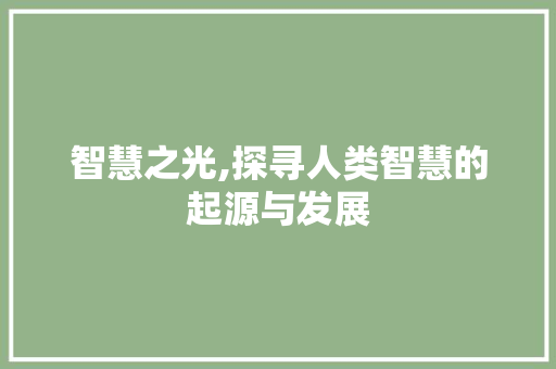 智慧之光,探寻人类智慧的起源与发展
