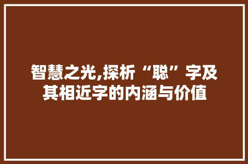 智慧之光,探析“聪”字及其相近字的内涵与价值