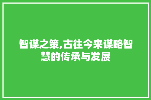 智谋之策,古往今来谋略智慧的传承与发展