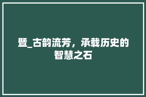 暨_古韵流芳，承载历史的智慧之石