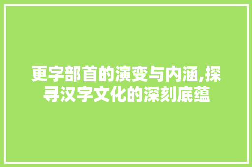 更字部首的演变与内涵,探寻汉字文化的深刻底蕴 简历模板