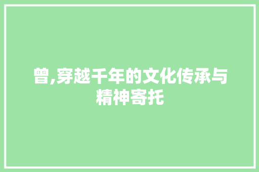曾,穿越千年的文化传承与精神寄托