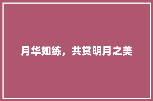 月华如练，共赏明月之美 报告写作