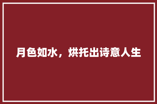 月色如水，烘托出诗意人生