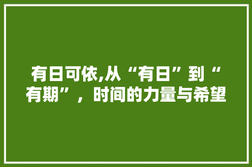 有日可依,从“有日”到“有期”，时间的力量与希望 写作技巧