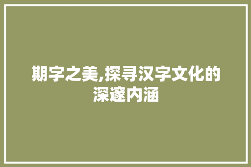 期字之美,探寻汉字文化的深邃内涵