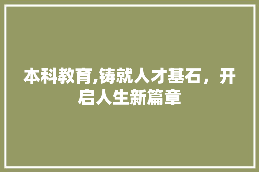 本科教育,铸就人才基石，开启人生新篇章