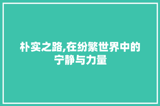 朴实之路,在纷繁世界中的宁静与力量