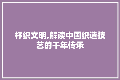 杼织文明,解读中国织造技艺的千年传承 报告写作