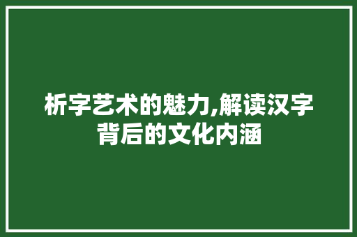 析字艺术的魅力,解读汉字背后的文化内涵 写作技巧
