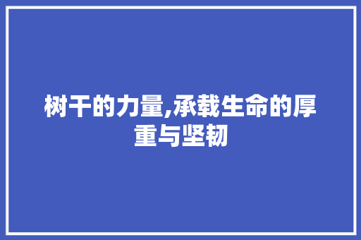 树干的力量,承载生命的厚重与坚韧
