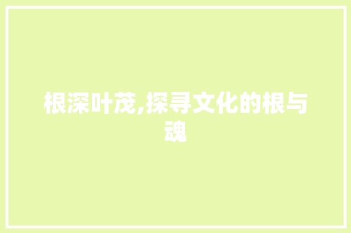 根深叶茂,探寻文化的根与魂