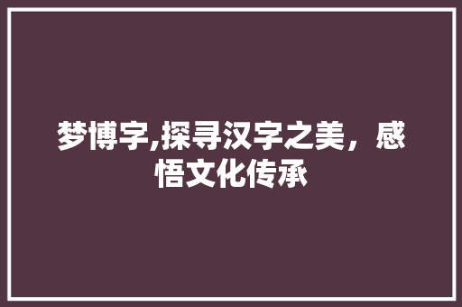 梦博字,探寻汉字之美，感悟文化传承 写作技巧