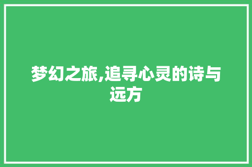 梦幻之旅,追寻心灵的诗与远方 范文赏析