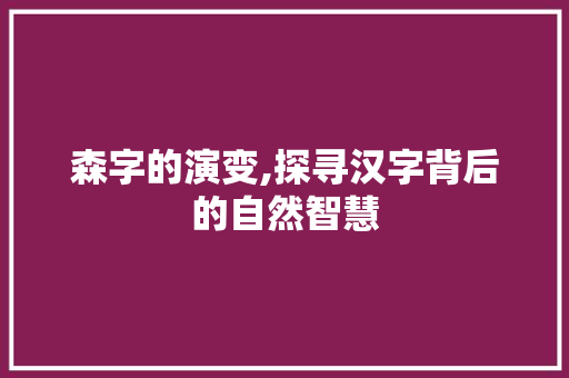 森字的演变,探寻汉字背后的自然智慧