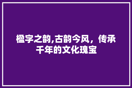 楹字之韵,古韵今风，传承千年的文化瑰宝 词汇积累