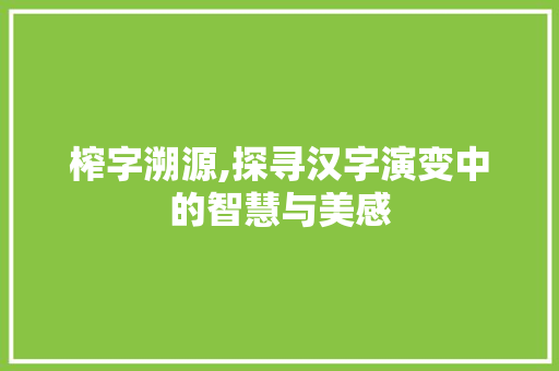 榨字溯源,探寻汉字演变中的智慧与美感