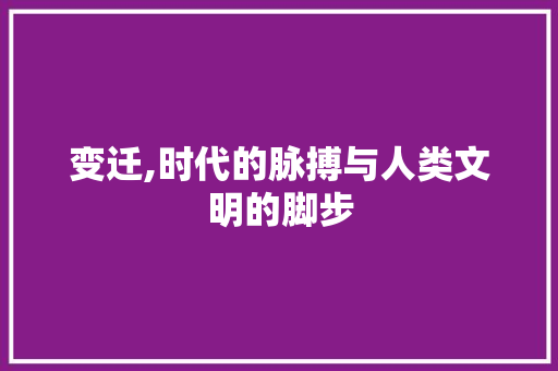 变迁,时代的脉搏与人类文明的脚步
