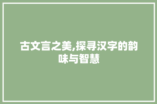 古文言之美,探寻汉字的韵味与智慧