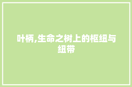叶柄,生命之树上的枢纽与纽带