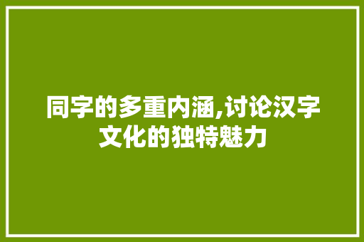 同字的多重内涵,讨论汉字文化的独特魅力 范文赏析