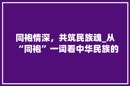 同袍情深，共筑民族魂_从“同袍”一词看中华民族的团结精神