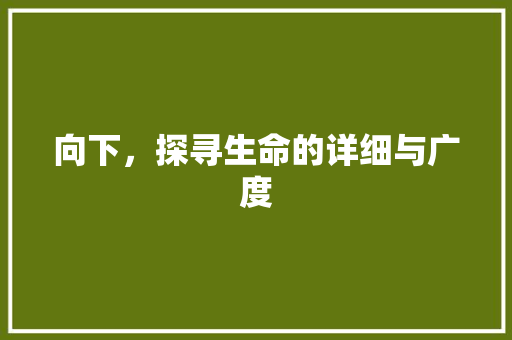 向下，探寻生命的详细与广度