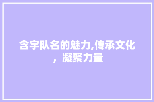 含字队名的魅力,传承文化，凝聚力量