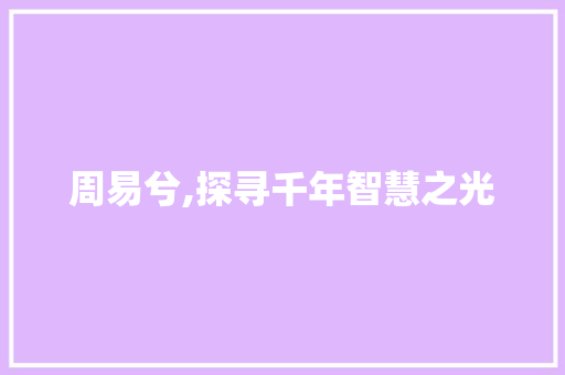 周易兮,探寻千年智慧之光