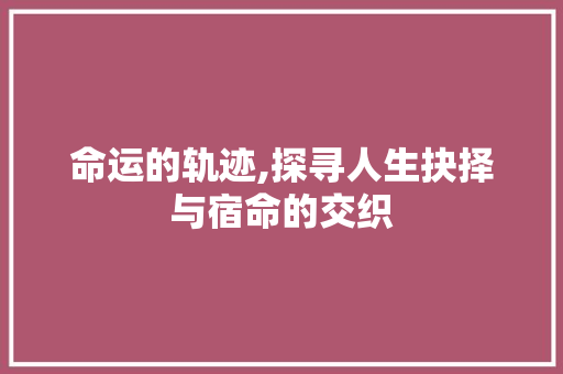 命运的轨迹,探寻人生抉择与宿命的交织