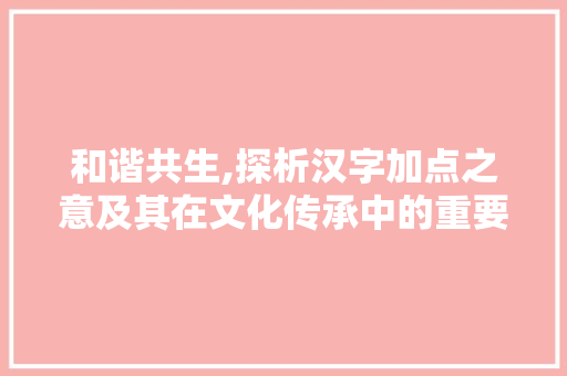 和谐共生,探析汉字加点之意及其在文化传承中的重要性