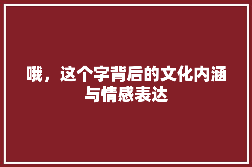 哦，这个字背后的文化内涵与情感表达