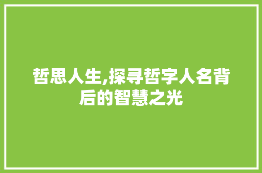 哲思人生,探寻哲字人名背后的智慧之光