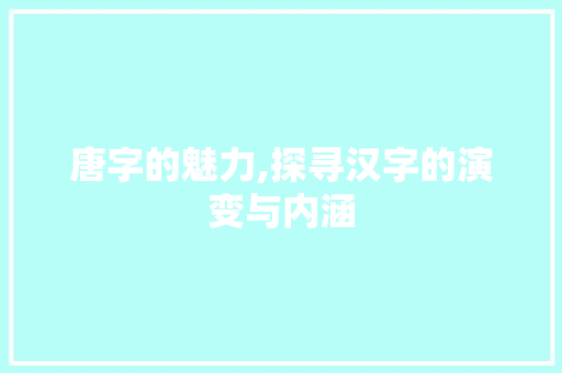 唐字的魅力,探寻汉字的演变与内涵