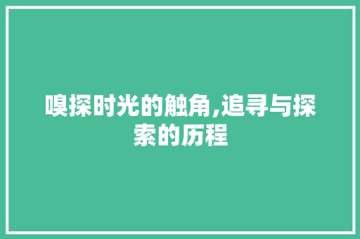嗅探时光的触角,追寻与探索的历程