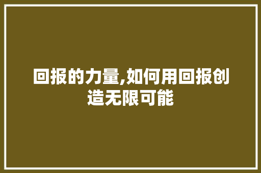 回报的力量,如何用回报创造无限可能
