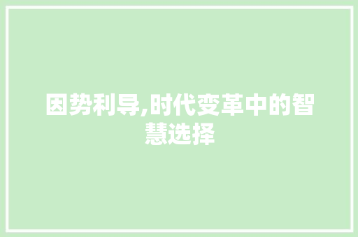 因势利导,时代变革中的智慧选择