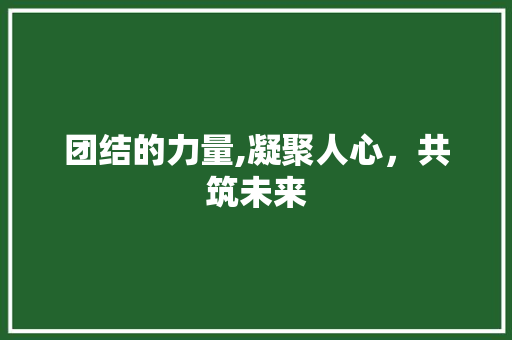 团结的力量,凝聚人心，共筑未来