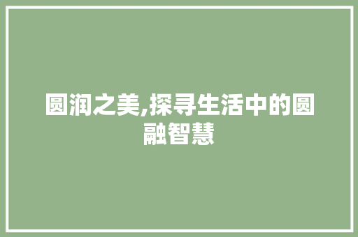 圆润之美,探寻生活中的圆融智慧