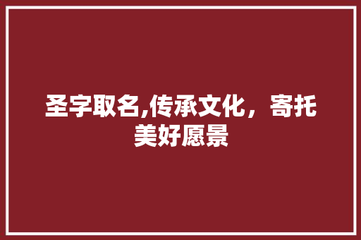 圣字取名,传承文化，寄托美好愿景